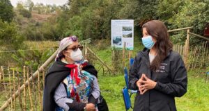 Fortalecen trabajo preventivo Covid-19 en comunidades indígenas de La Araucanía
