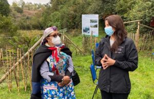 Fortalecen trabajo preventivo Covid-19 en comunidades indígenas de La Araucanía