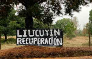 Comunicado de la comunidad Mapuche Liukuyin de Pitrufquén