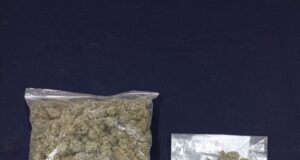 Incautan más de 2 mil dosis de cannabis en Lautaro