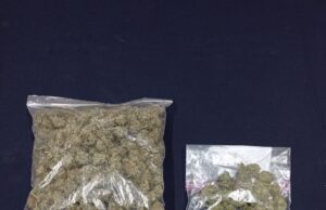 Incautan más de 2 mil dosis de cannabis en Lautaro