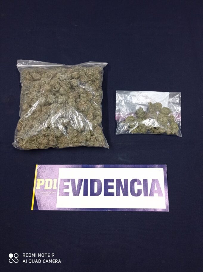 Incautan más de 2 mil dosis de cannabis en Lautaro