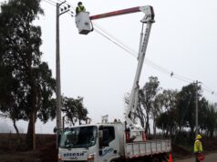 Construyen nueva línea eléctrica en Perquenco