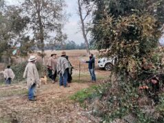 Comunicado Publico Comunidad Molcoche De La Comuna De Pitrufquén