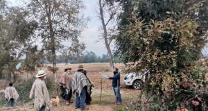 Comunicado Publico Comunidad Molcoche De La Comuna De Pitrufquén