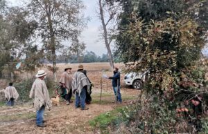 Comunicado Publico Comunidad Molcoche De La Comuna De Pitrufquén