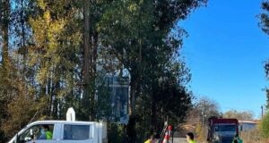 Concejal junto a familiares y amigos taparon baches en rutas de Gorbea