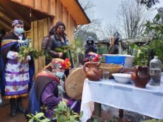Autoridades celebran We Tripantu en casa de Machi de Freire