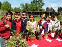 Estudiantes de Villarrica rescatan y valoran la cultura ancestral