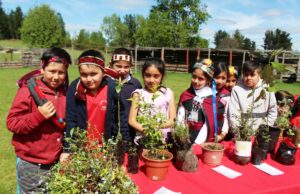 Estudiantes de Villarrica rescatan y valoran la cultura ancestral