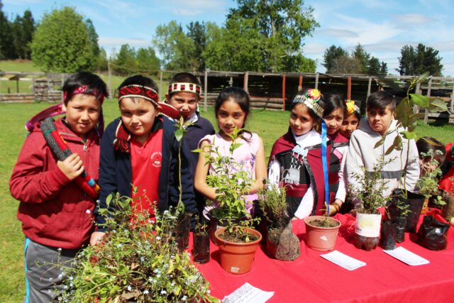 Estudiantes de Villarrica rescatan y valoran la cultura ancestral
