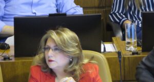 Diputada Parra: “el voto voluntario no está ayudando a fortalecer la democracia”