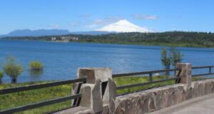 En villarrica trabajan en plan de reforestación de la ribera del lago