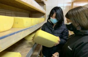 Productora de quesos de Cunco recibe ayuda de INDAP para construir su anhelada sala de proceso
