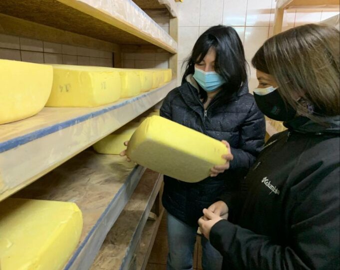 Productora de quesos de Cunco recibe ayuda de INDAP para construir su anhelada sala de proceso