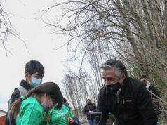 Con diversas actividades celebraron el día del árbol en Melipeuco