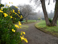 Establecen protocolos para la apertura de Los Parques Estadio, Corcolén y Labranza