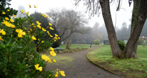 Establecen protocolos para la apertura de Los Parques Estadio, Corcolén y Labranza