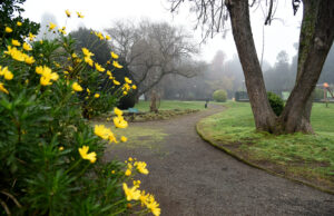 Establecen protocolos para la apertura de Los Parques Estadio, Corcolén y Labranza