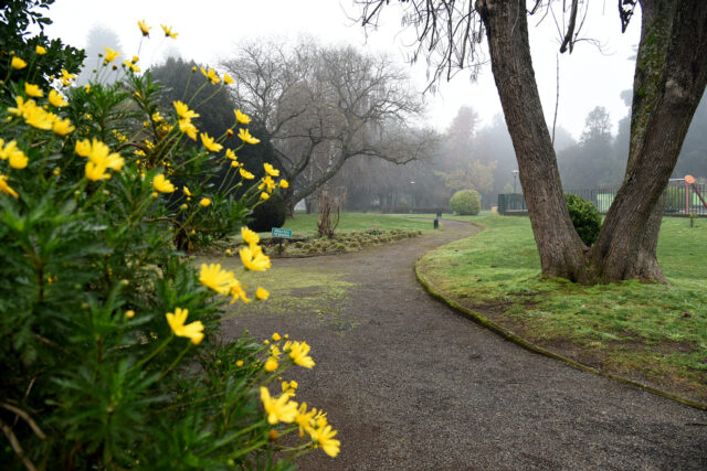 Establecen protocolos para la apertura de Los Parques Estadio, Corcolén y Labranza