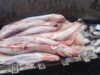 Detectan transporte ilegal de casi 6 toneladas de pescado en La Araucanía