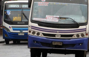 Transportistas de buses interurbanos podrán acceder al Bono Mype