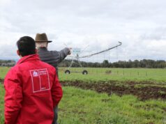 Agricultores de Pitrufquén y Freire Reciben Importantes Bonos de Riego