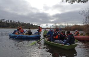 Inició temporada de pesca del salmón Chinook en la cuenca del Toltén