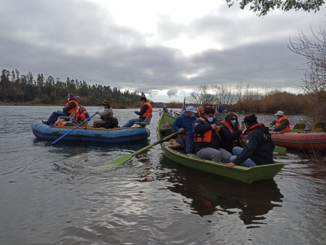 Inició temporada de pesca del salmón Chinook en la cuenca del Toltén
