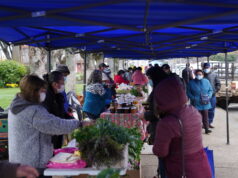 Direcciones de desarrollo comunitario y económico de Loncoche realizan exitosa feria en plaza