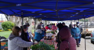 Direcciones de desarrollo comunitario y económico de Loncoche realizan exitosa feria en plaza