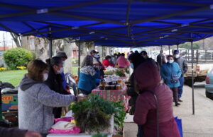 Direcciones de desarrollo comunitario y económico de Loncoche realizan exitosa feria en plaza