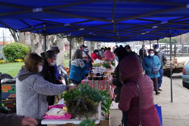 Direcciones de desarrollo comunitario y económico de Loncoche realizan exitosa feria en plaza