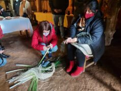 CONADI apoya reactivación de emprendimientos turísticos de la costa e invita a visitarlos con los debidos resguardos sanitarios