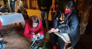 CONADI apoya reactivación de emprendimientos turísticos de la costa e invita a visitarlos con los debidos resguardos sanitarios