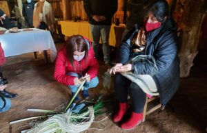 CONADI apoya reactivación de emprendimientos turísticos de la costa e invita a visitarlos con los debidos resguardos sanitarios