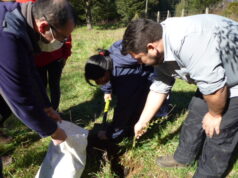 Loncoche inicia programa de plantación con 50 árboles en Humedal Huiscapi