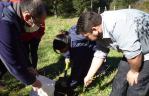 Loncoche inicia programa de plantación con 50 árboles en Humedal Huiscapi