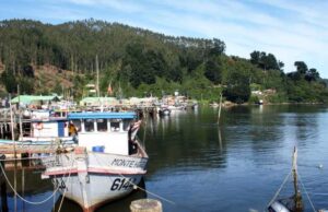 Queule como polo de desarrollo