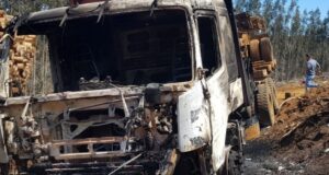 Senadora Aravena: “Invito a los demás parlamentarios de la Macrozona Sur a buscar una solución en conjunto”