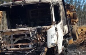 Senadora Aravena: “Invito a los demás parlamentarios de la Macrozona Sur a buscar una solución en conjunto”