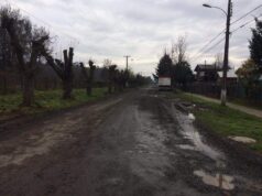 Inicia anhelado proyecto de pavimentación de la Av. Ferrocarril de Freire