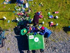 Jornada de limpieza y reforestación se vivió en Pitrufquén durante el día de la huelga mundial por el clima
