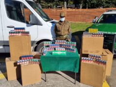 detienen a sujetos armados tras violento robo a camión repartidor en Pucón