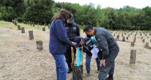 Centro de Estudio y Trabajo de vilcún participa de innovador proyecto de forestación híbrida