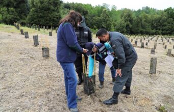 Centro de Estudio y Trabajo de vilcún participa de innovador proyecto de forestación híbrida