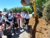 Inician obras de pavimentación de camino rural de Freire