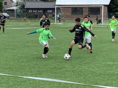 Con más de 40 equipos se disputa campeonato infantil de fútbol en Pucón
