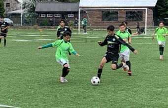 Con más de 40 equipos se disputa campeonato infantil de fútbol en Pucón