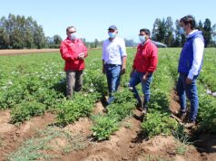 En La Araucanía lanzan campaña para concientizar sobre la crisis hídrica en el país